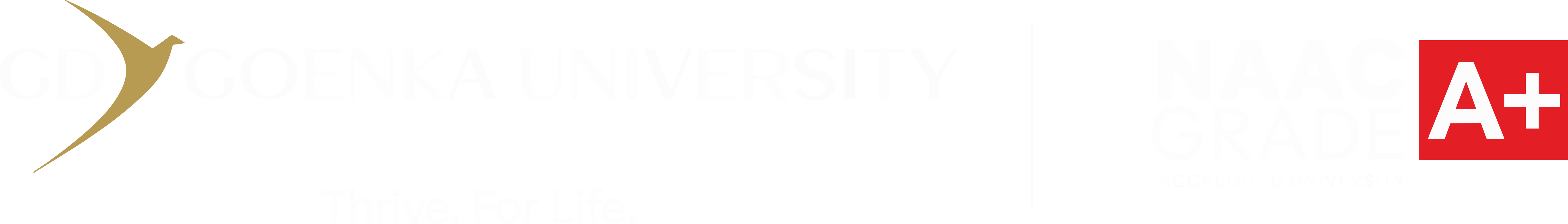 GD Goenka University